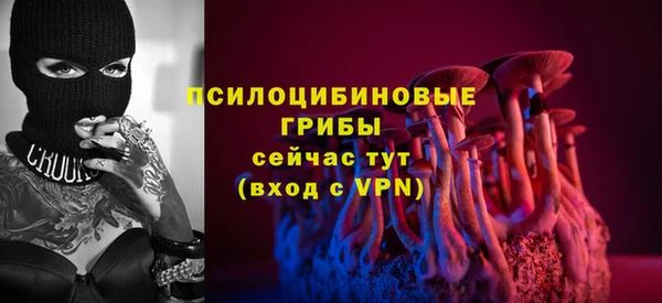 твердый Алзамай
