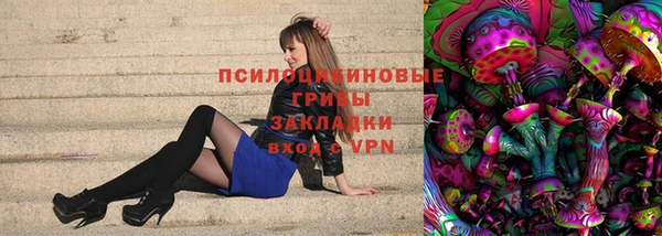твердый Алзамай