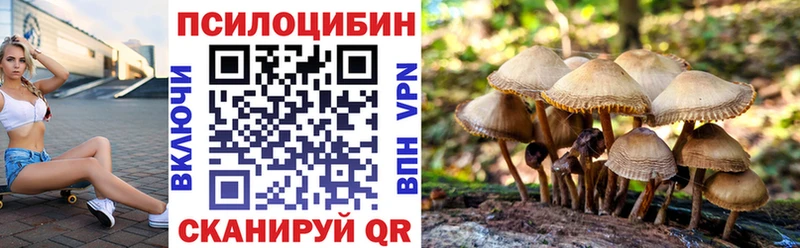 Купить закладки  Гуково  Псилоцибиновые грибы мухоморы 